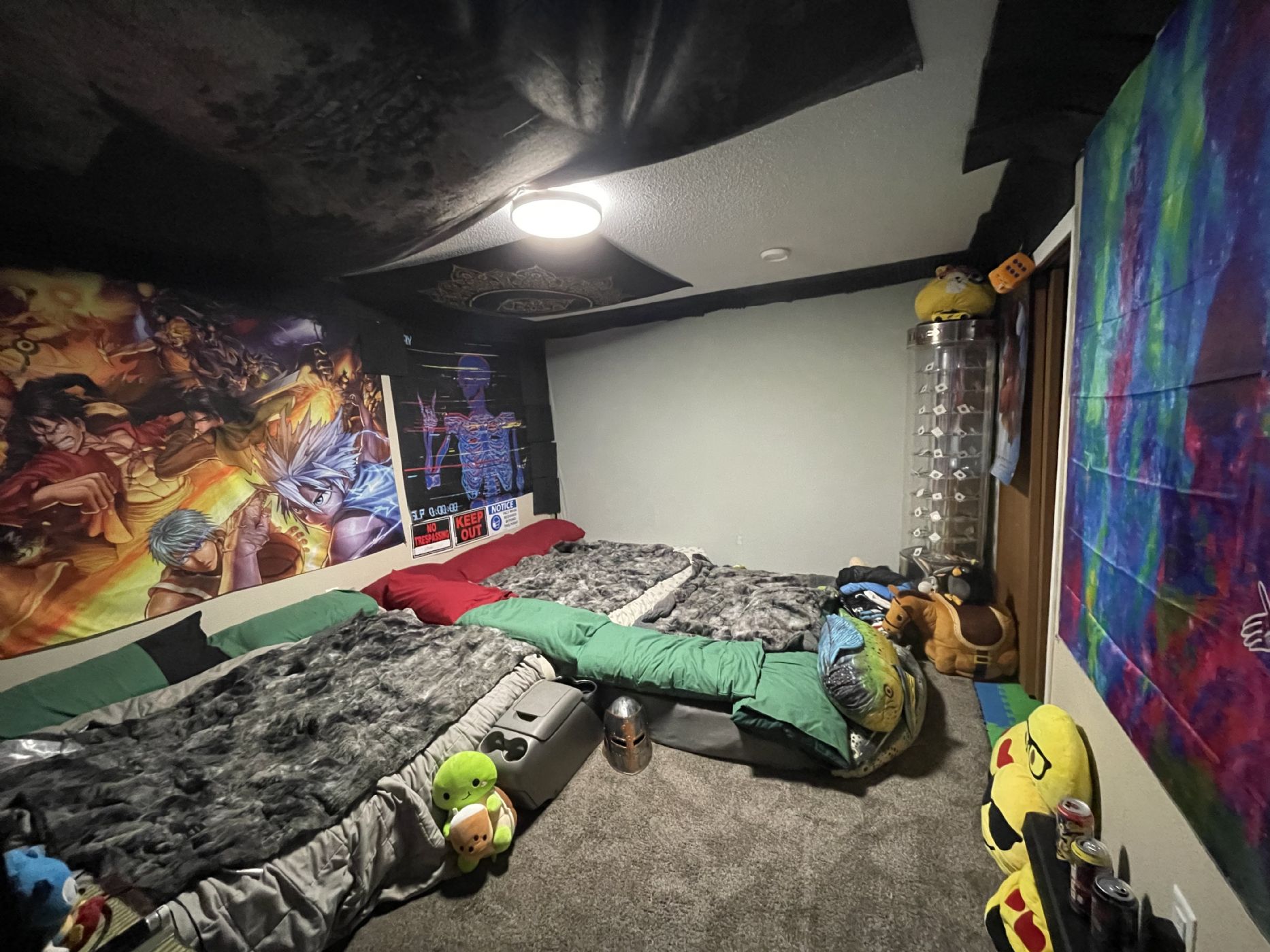 Bonus room Bonus room