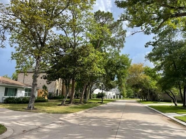 Another view south down Caudle Drive shows concrete street with curbs. Another view south down Caudle Drive shows concrete street with curbs.