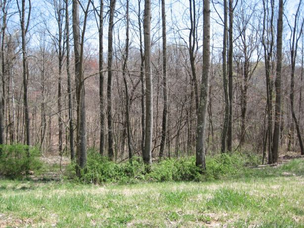 Northwood 76 Image