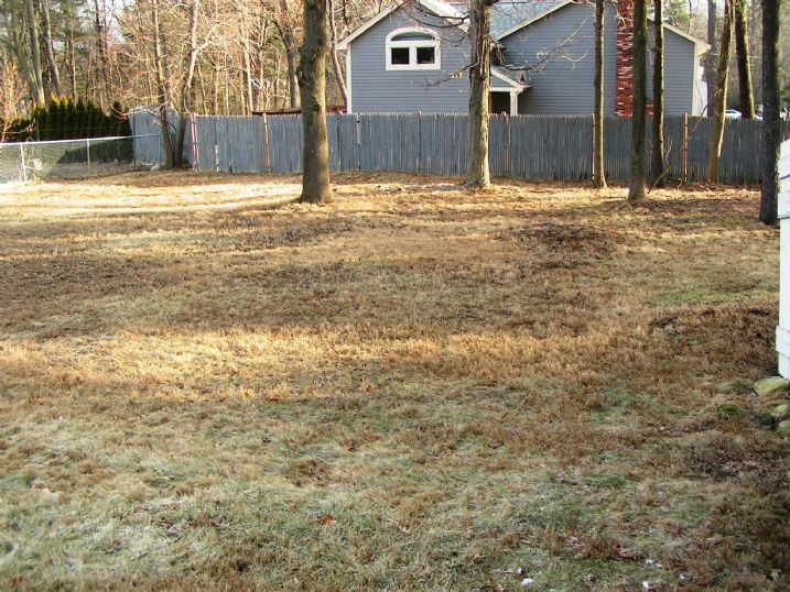 Back yard (exterior)