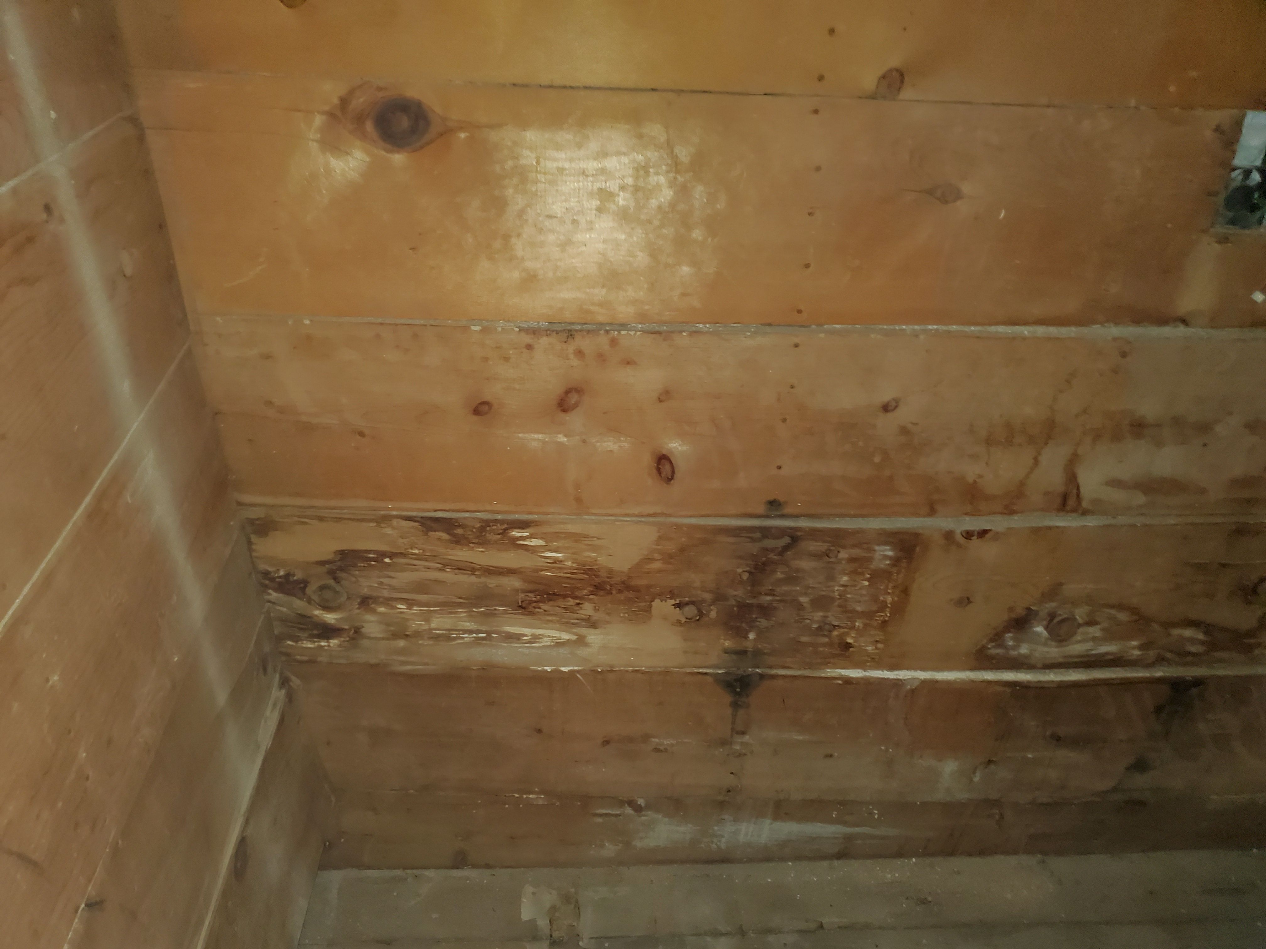 Root cerral from bottom of stairs