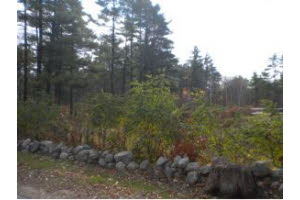 Deerfield Home, NH Real Estate Listing