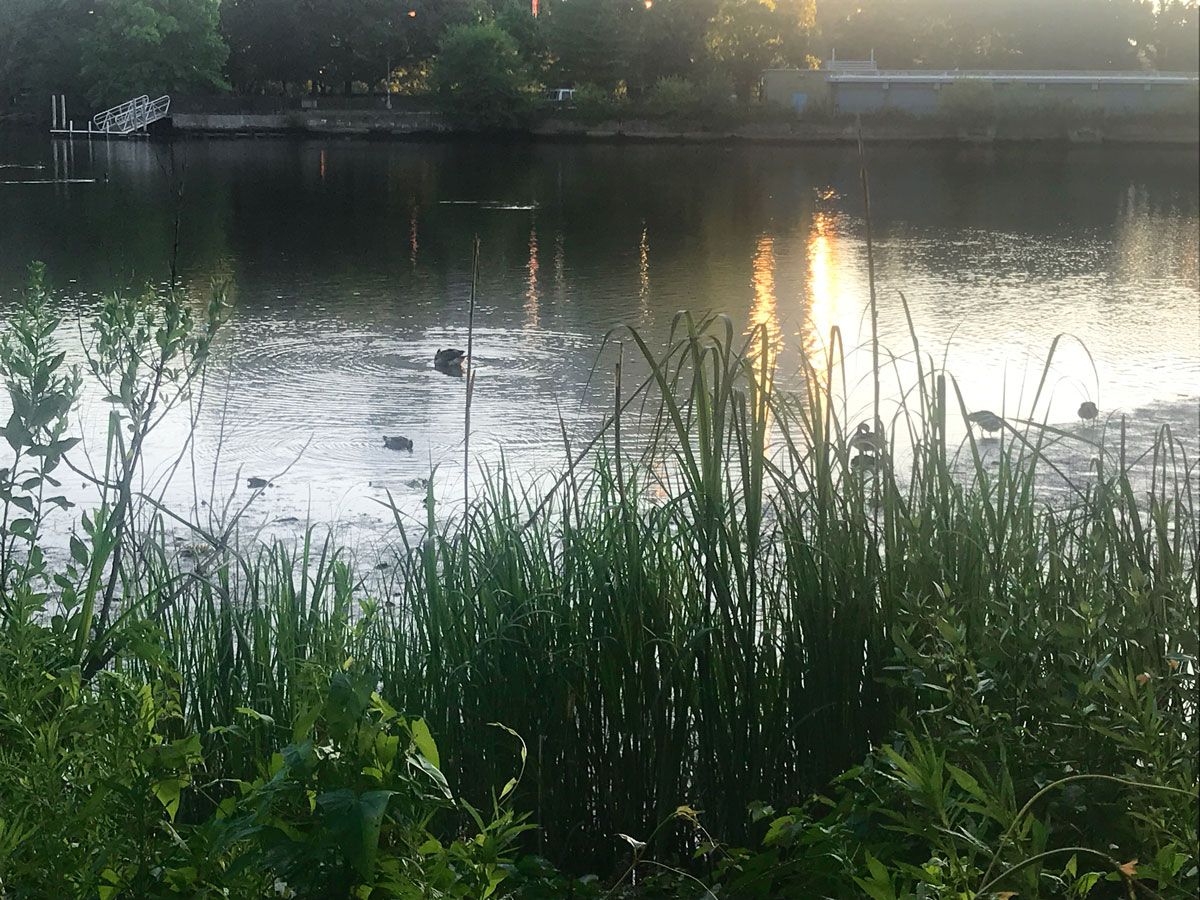 Featured Listings Inwood Washington Heights Hudson Heights Riverdale