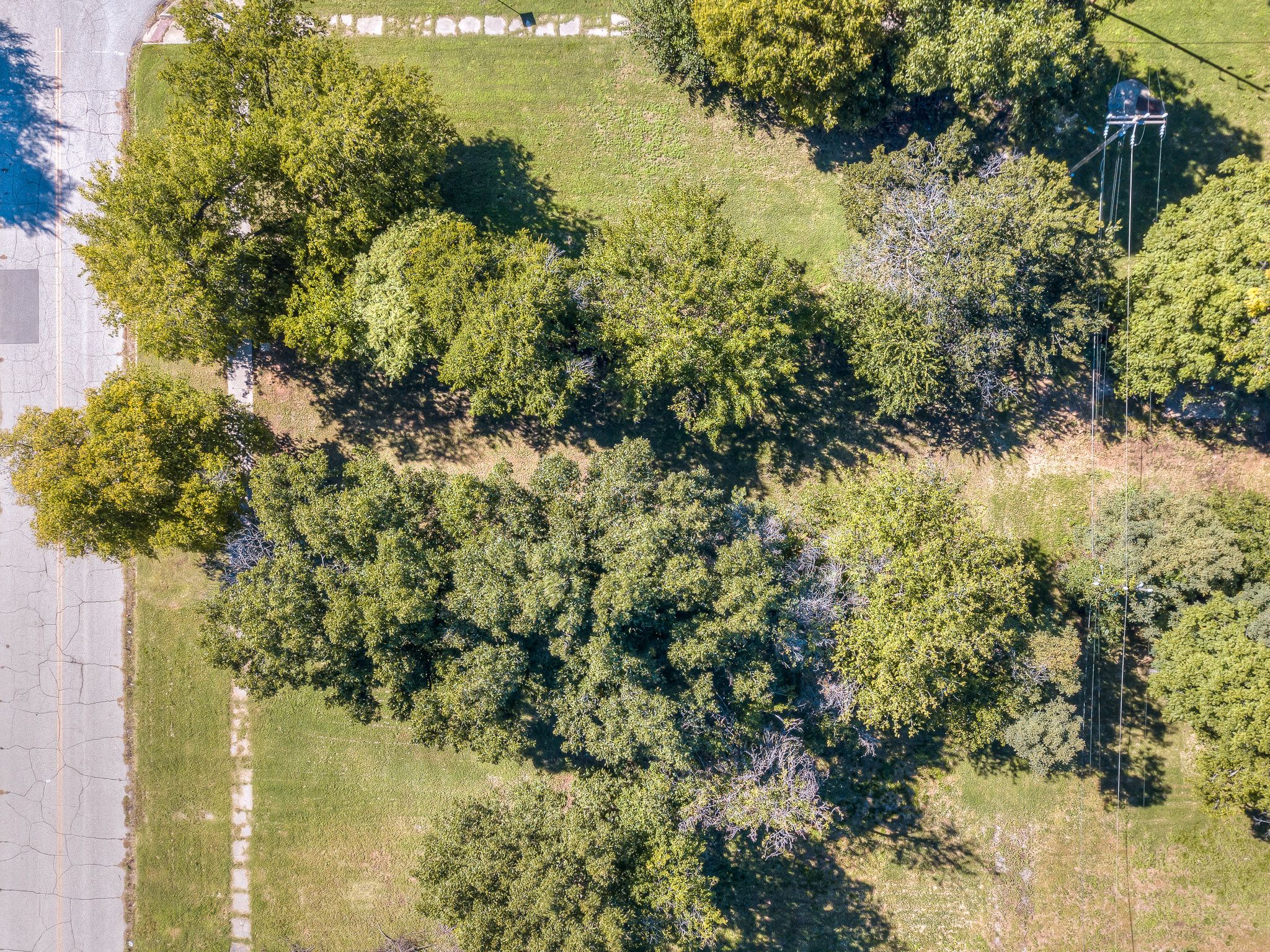 Aerial Showing Trees
