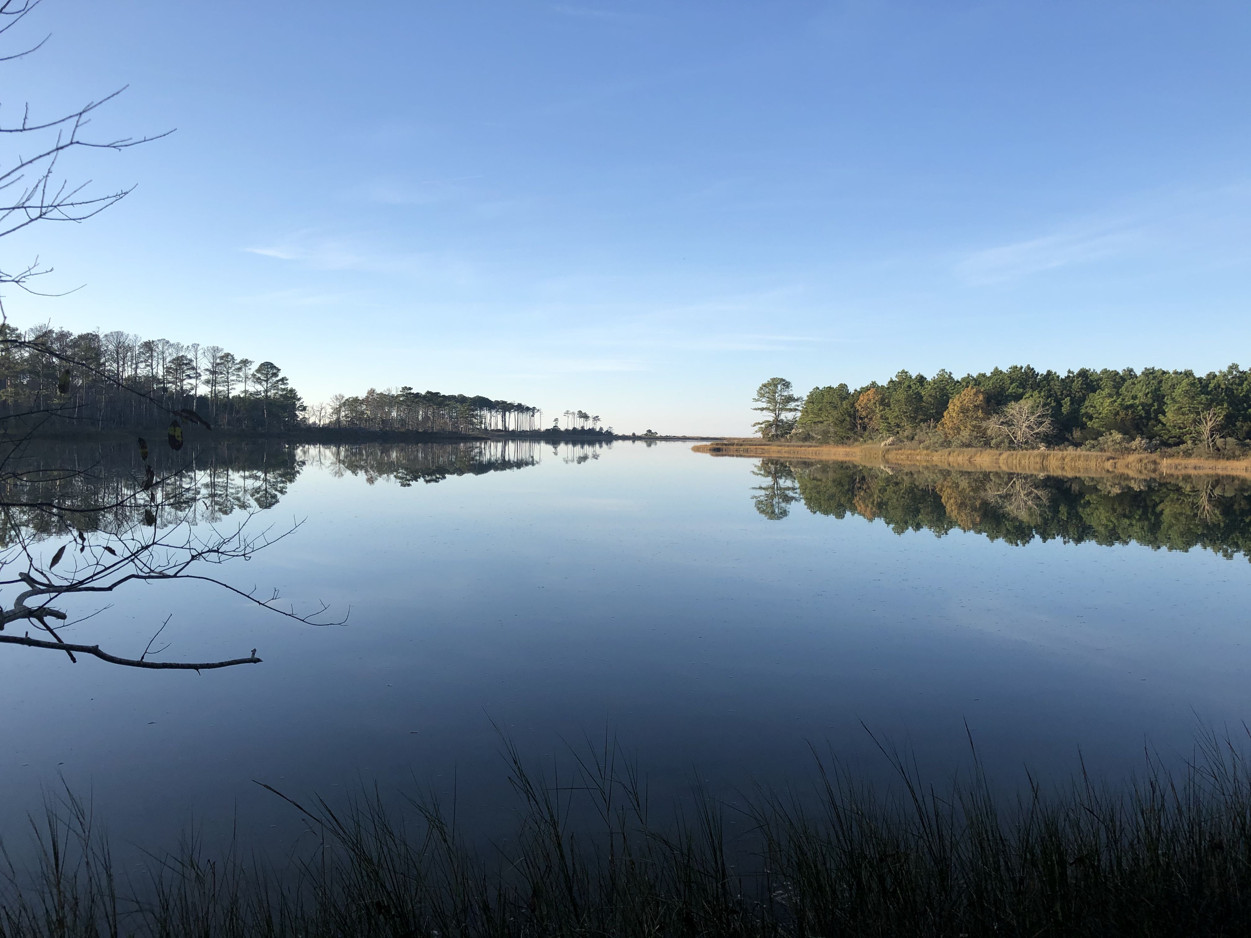 Chesapeake Bay, real estate, realtor, agent