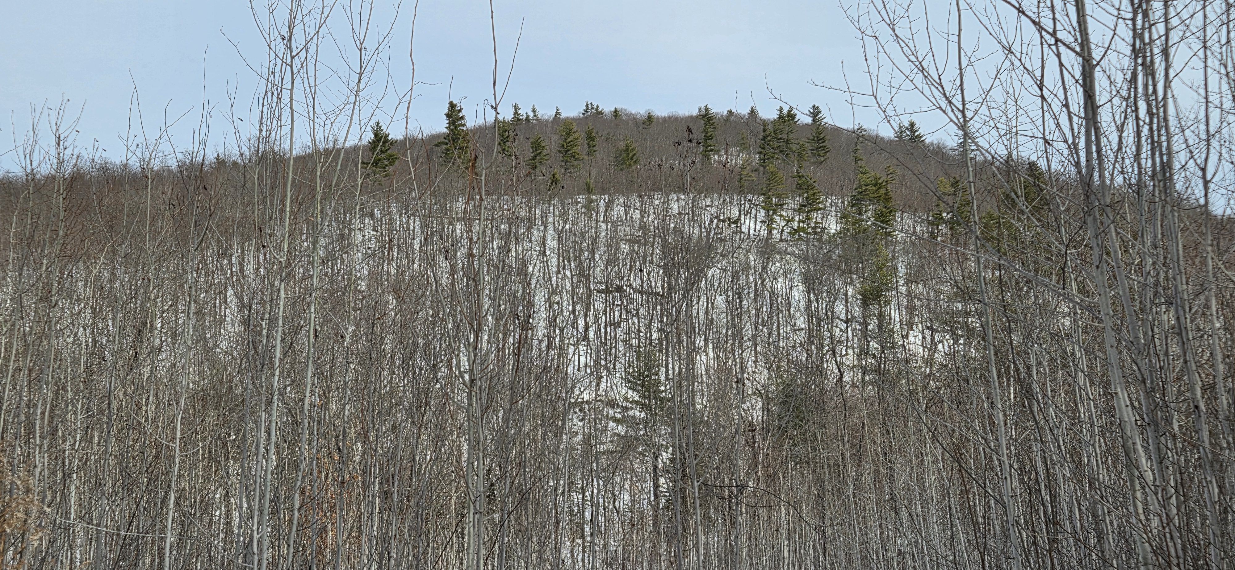 Mountain views in the back Mountain views in the back