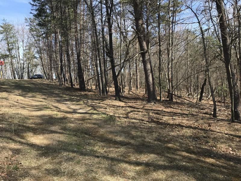 Tammy Rickman Old Colony Realty