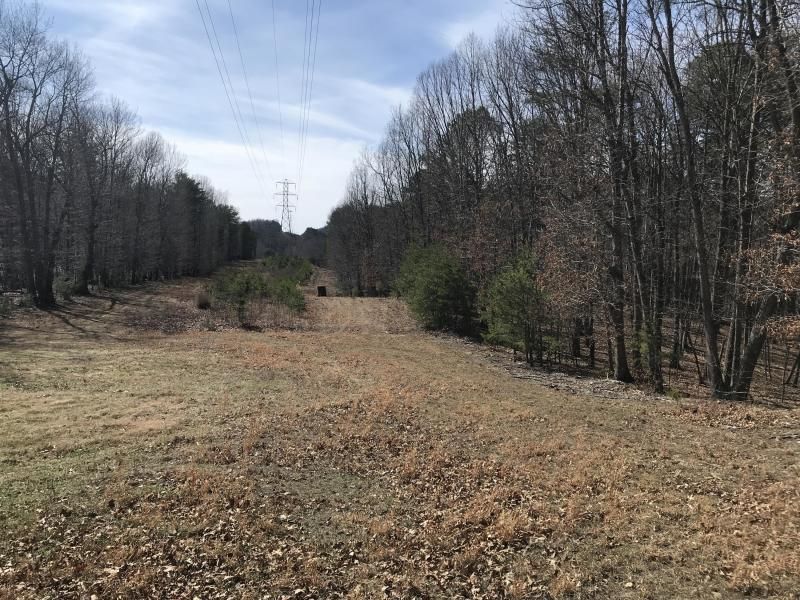 Tammy Rickman Old Colony Realty