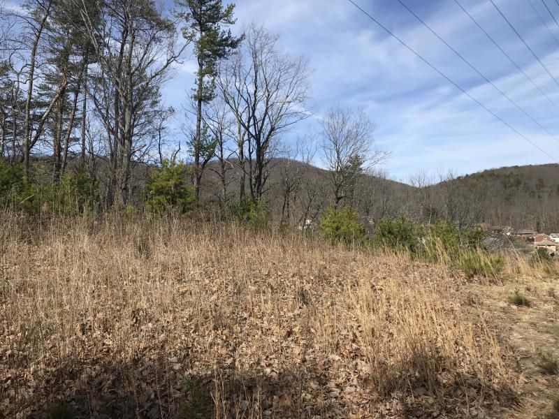 Tammy Rickman Old Colony Realty