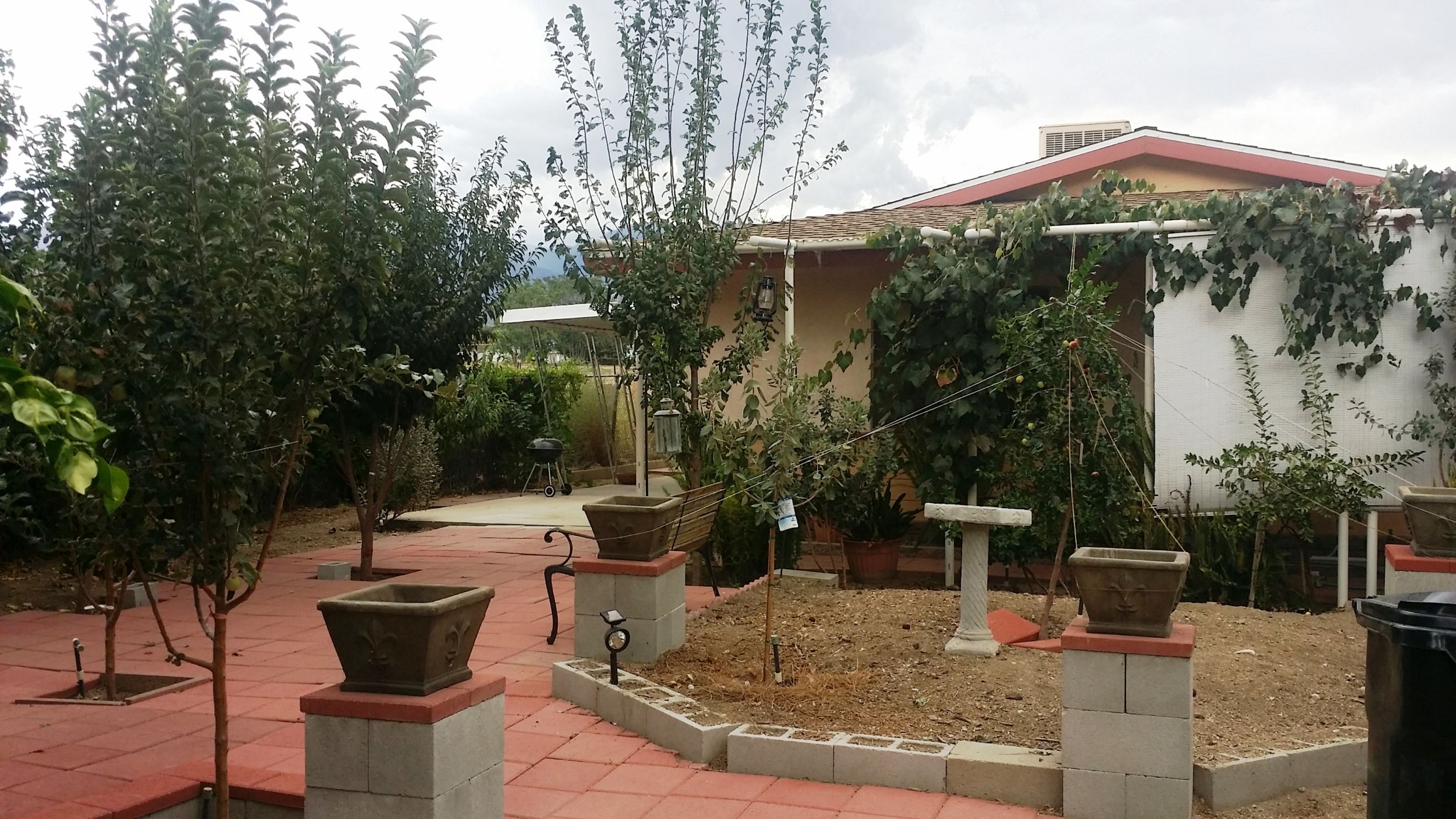 ACTION RENTALS, For Rent, Yucaipa, Calimesa, Beaumont, Redlands, Mentone