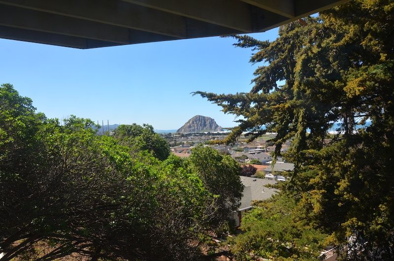 back yard rock view