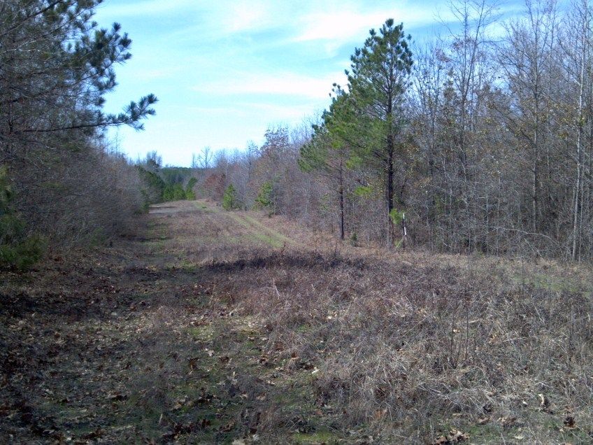 Arkansas Land for Sale Farms, Timberland, Hunting