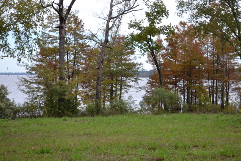 Arkansas Land for Sale Louisiana Land for Sale