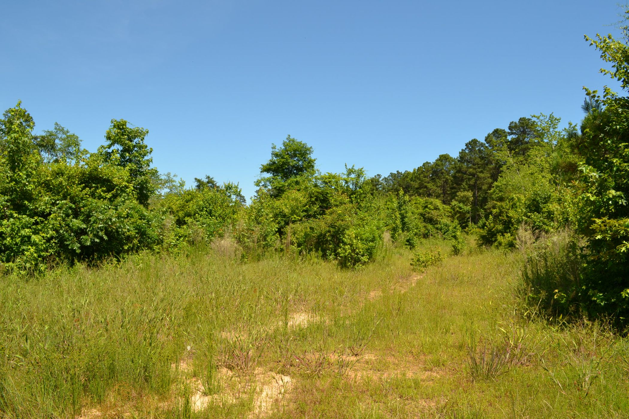 Arkansas Land for Sale Louisiana Land for Sale