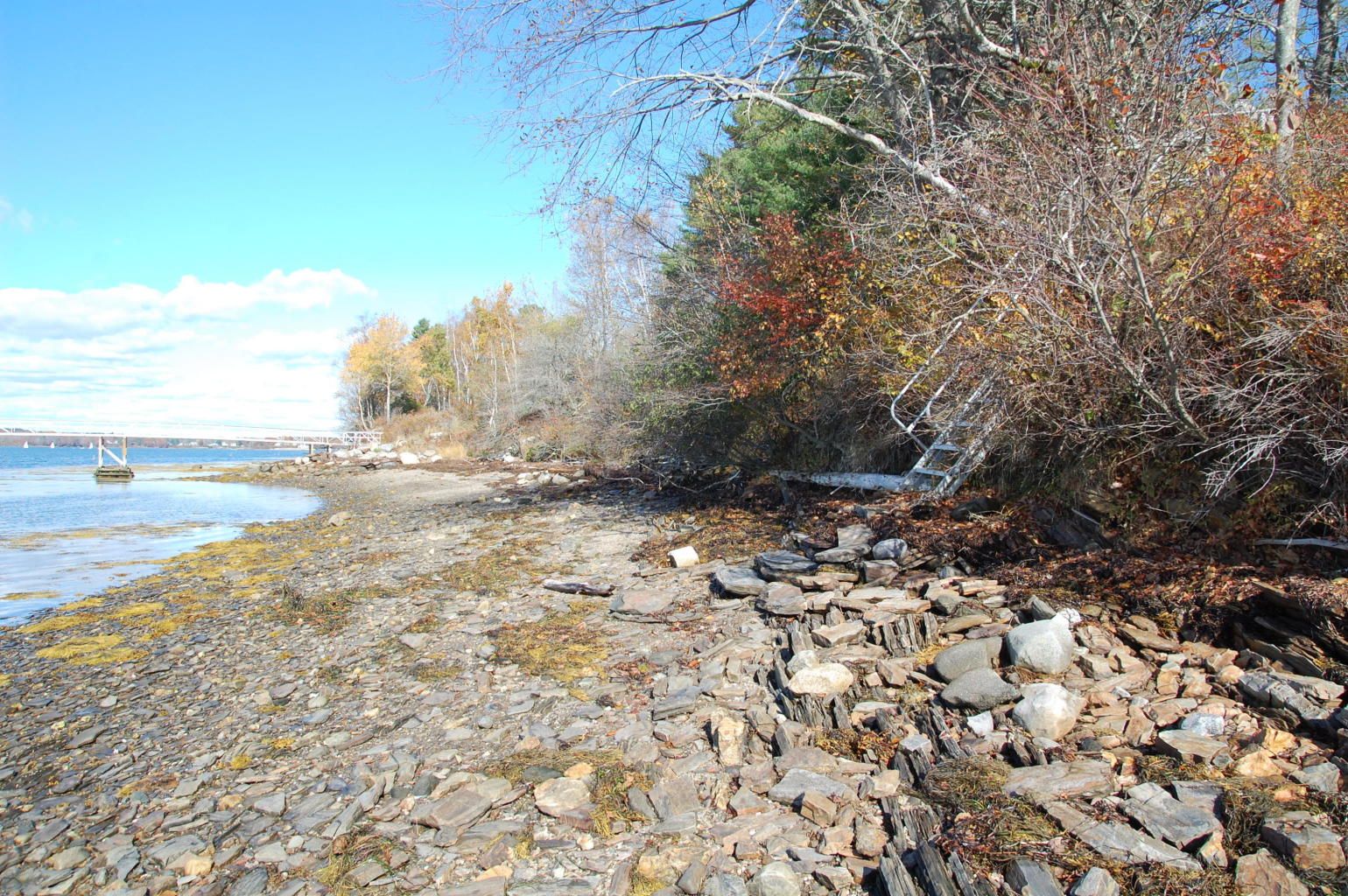 Roxanne York Real Estate