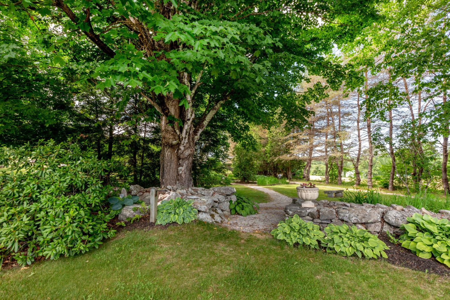 Roxanne York Real Estate