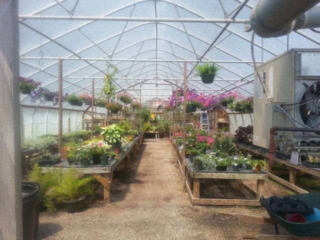 Greenhouse Interior