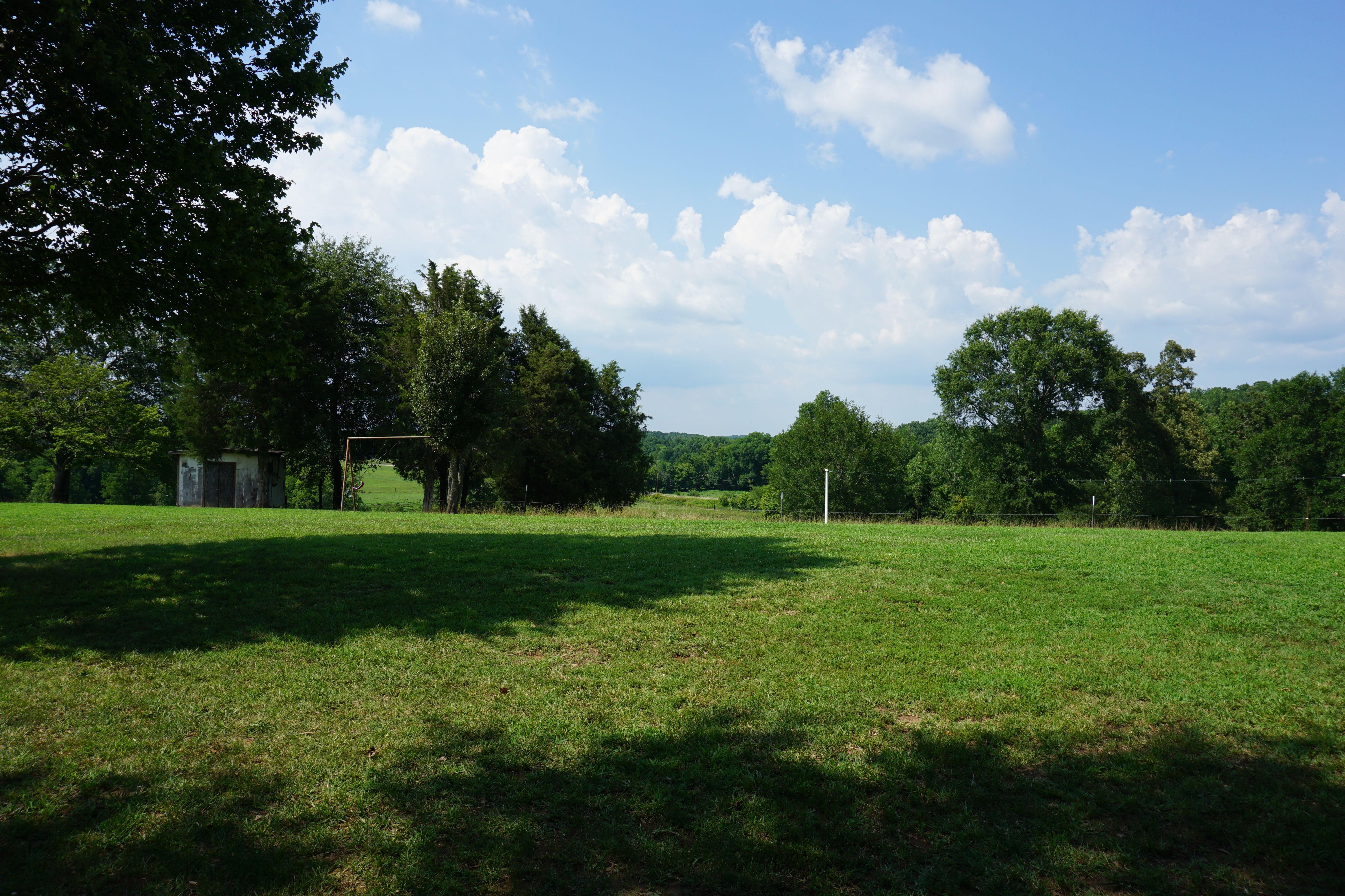 View from the back door