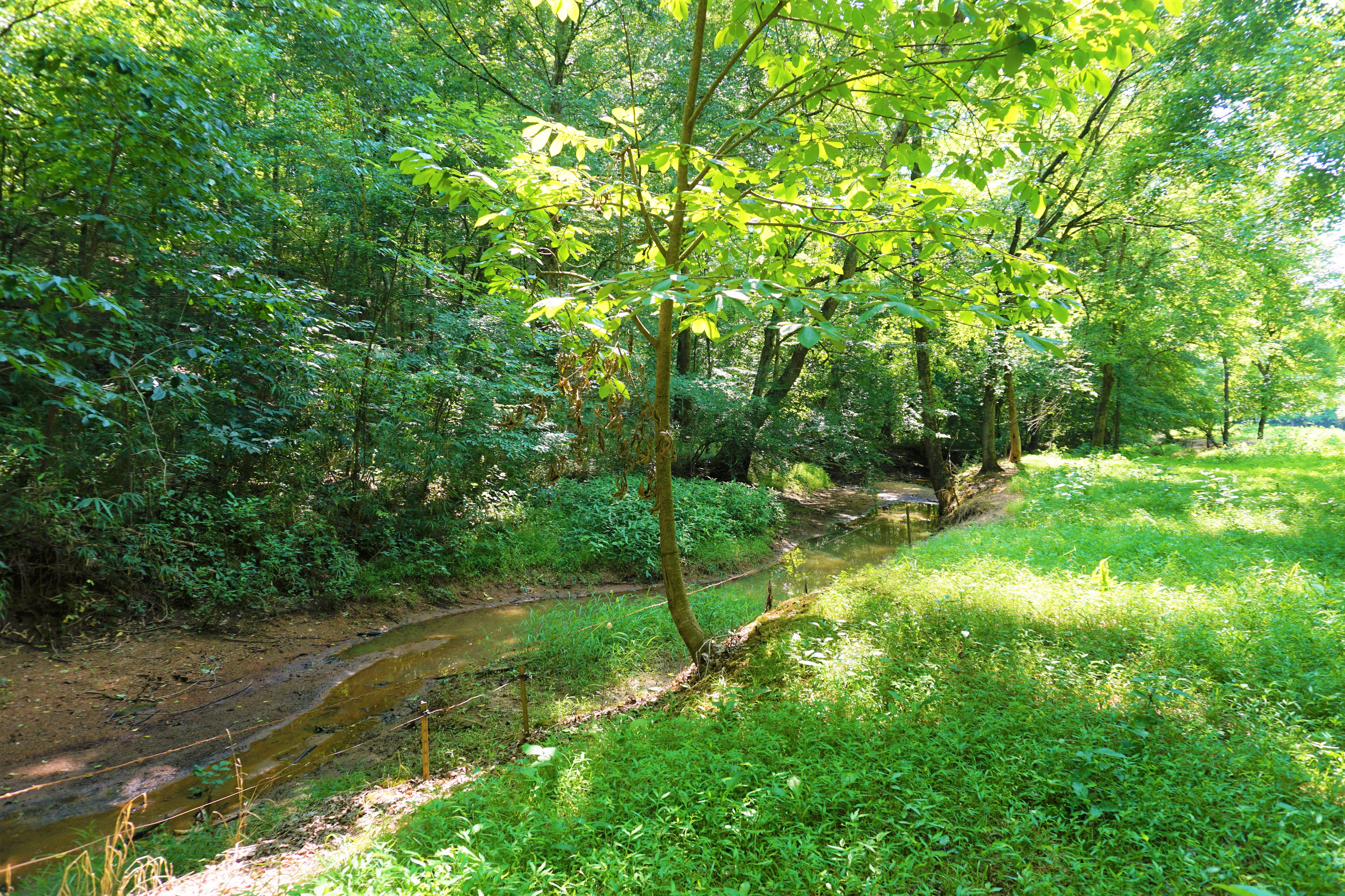 Smaller stream on farm