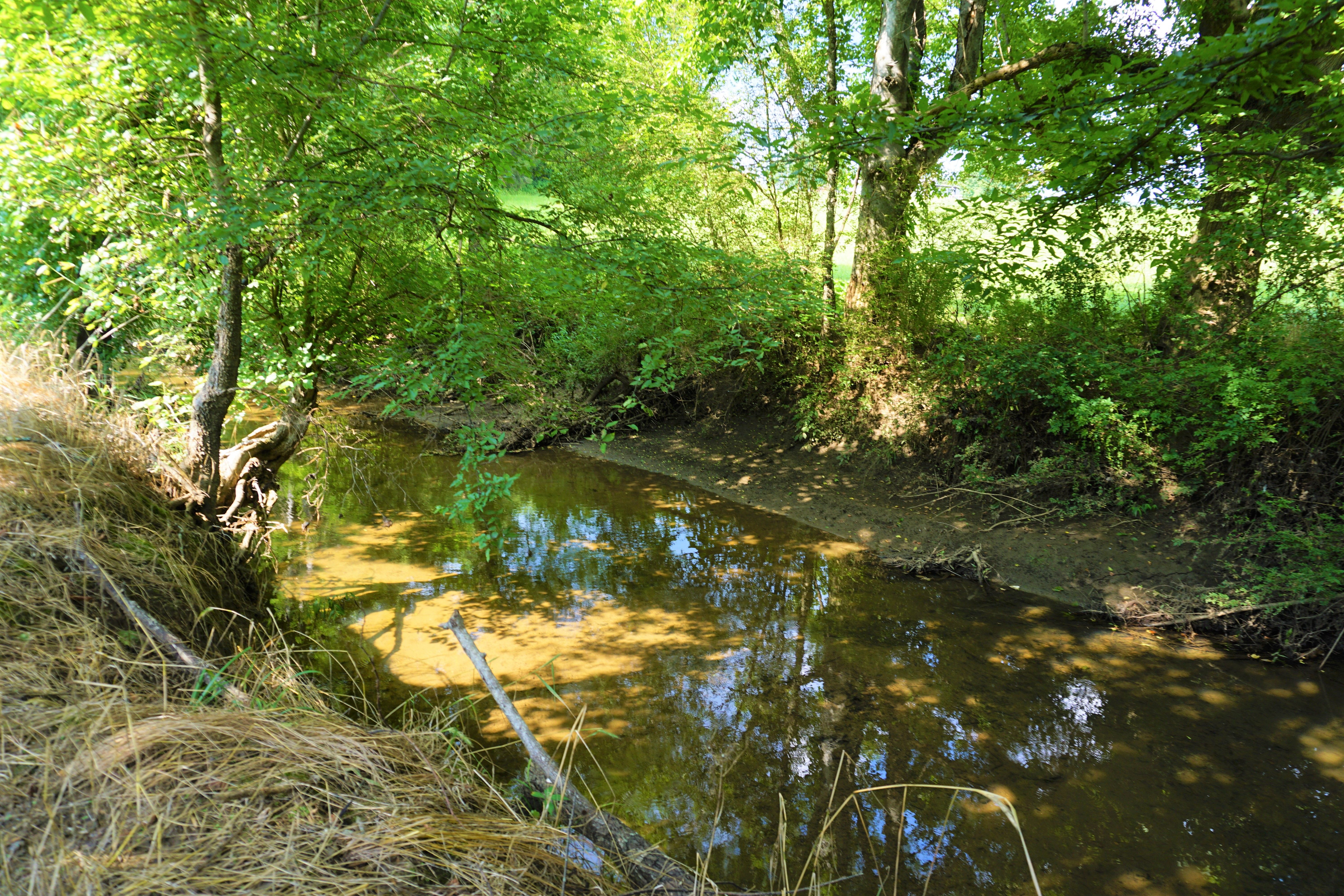 Stream on farm