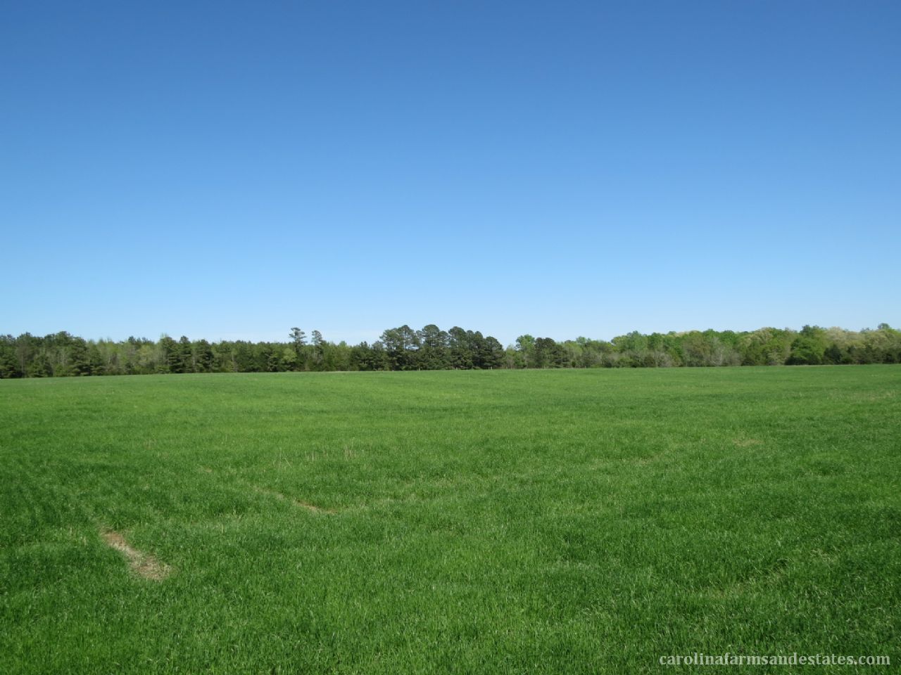 20 ACRE TRACT OF LAND FOR SALE ON BOOKOUT RD YORK SOUTH CAROLINA 20