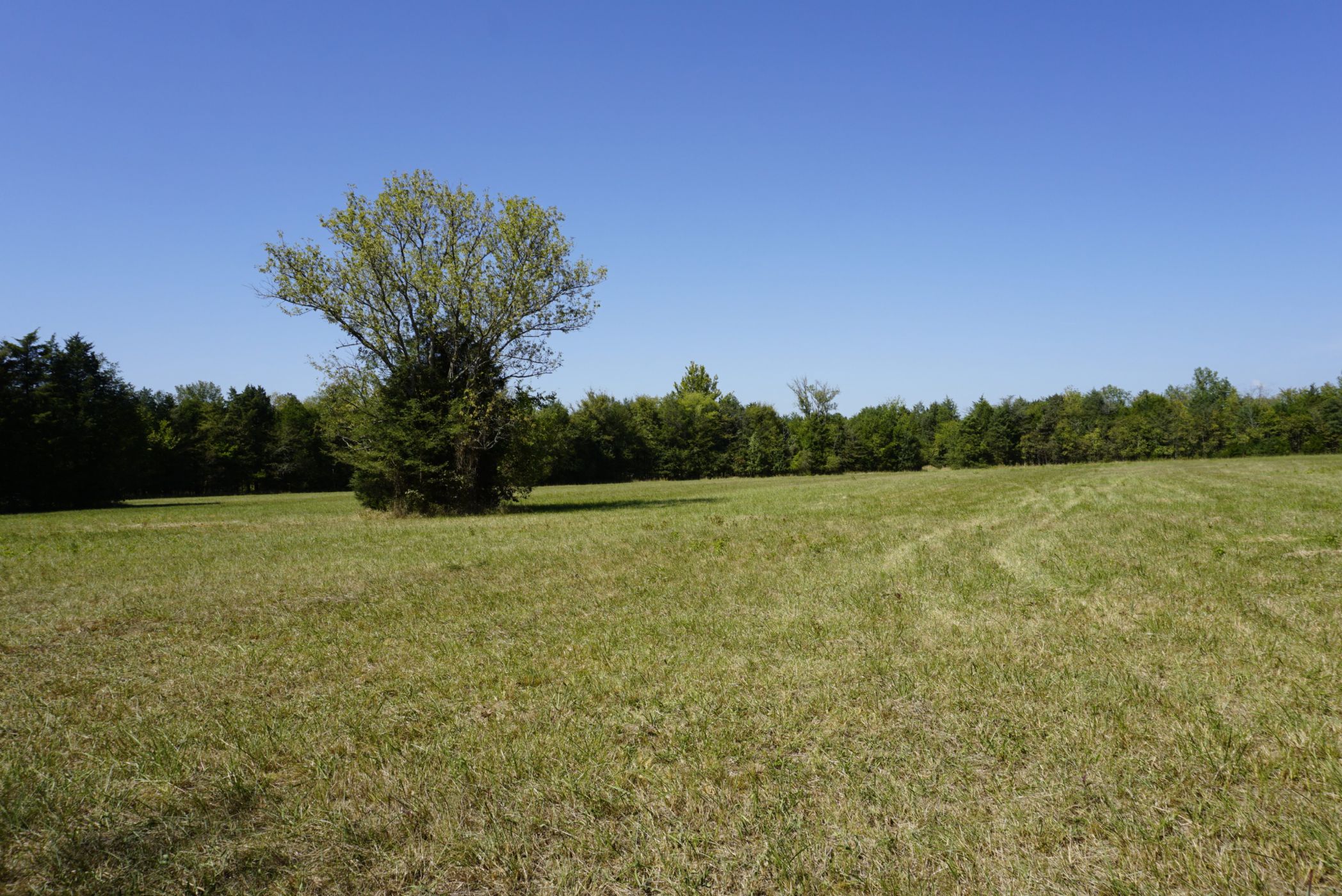 want-a-home-in-the-area-with-a-lot-of-land-this-one-s-for-sale