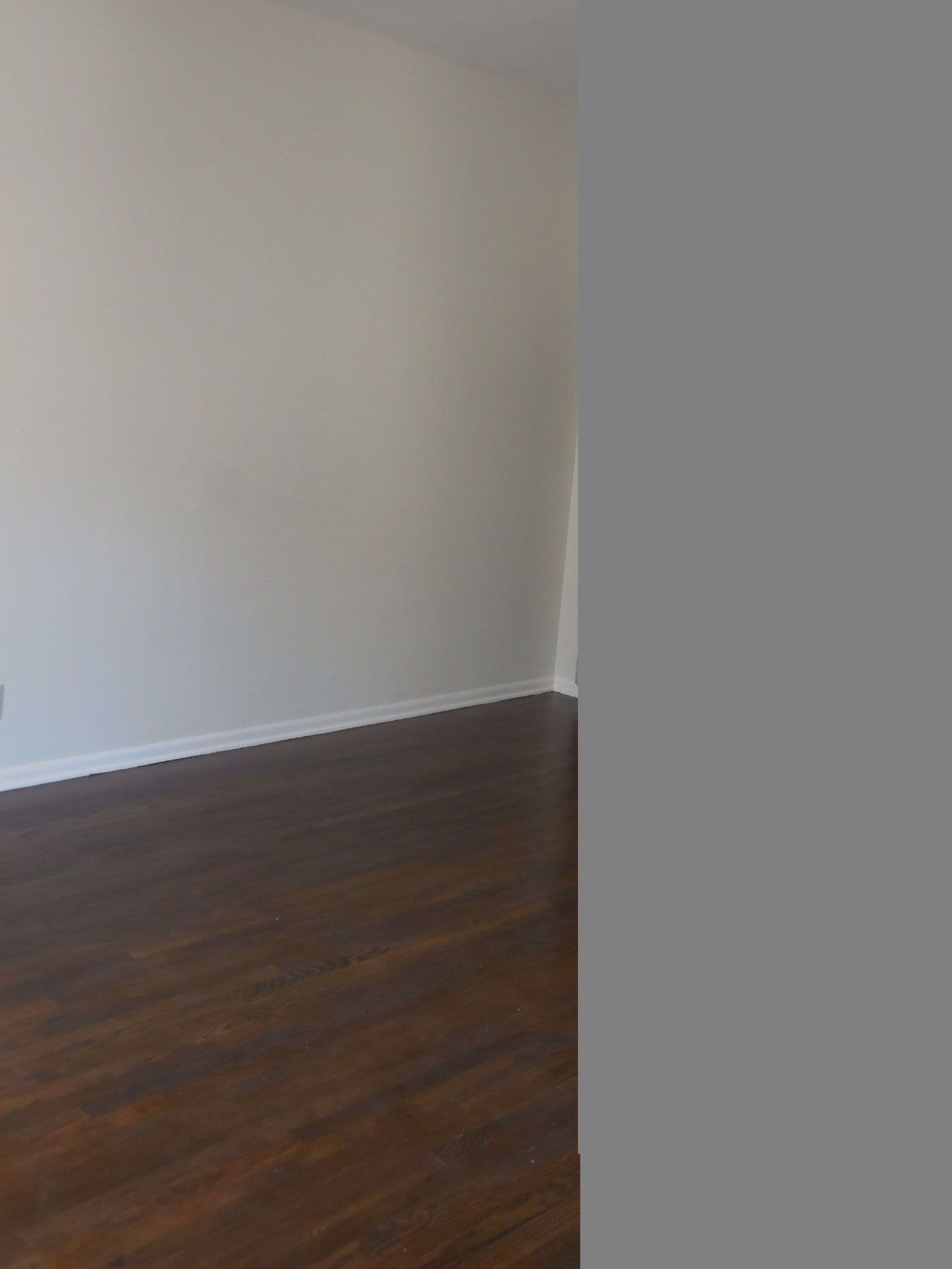 Spacious 1 BR Apartment near Loyola University photo 4