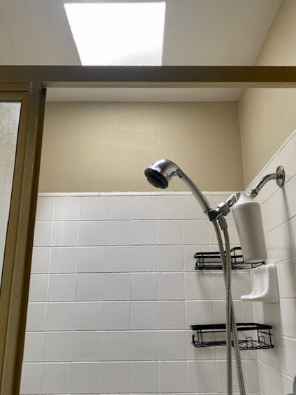 Master shower Skylight