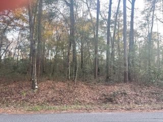 Jackson Home, AL Real Estate Listing