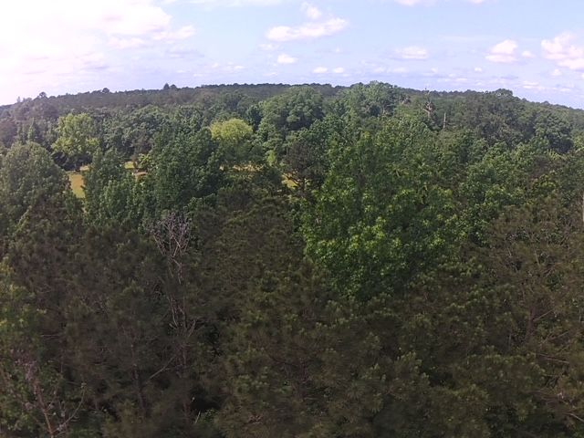 Leroy Home, AL Real Estate Listing