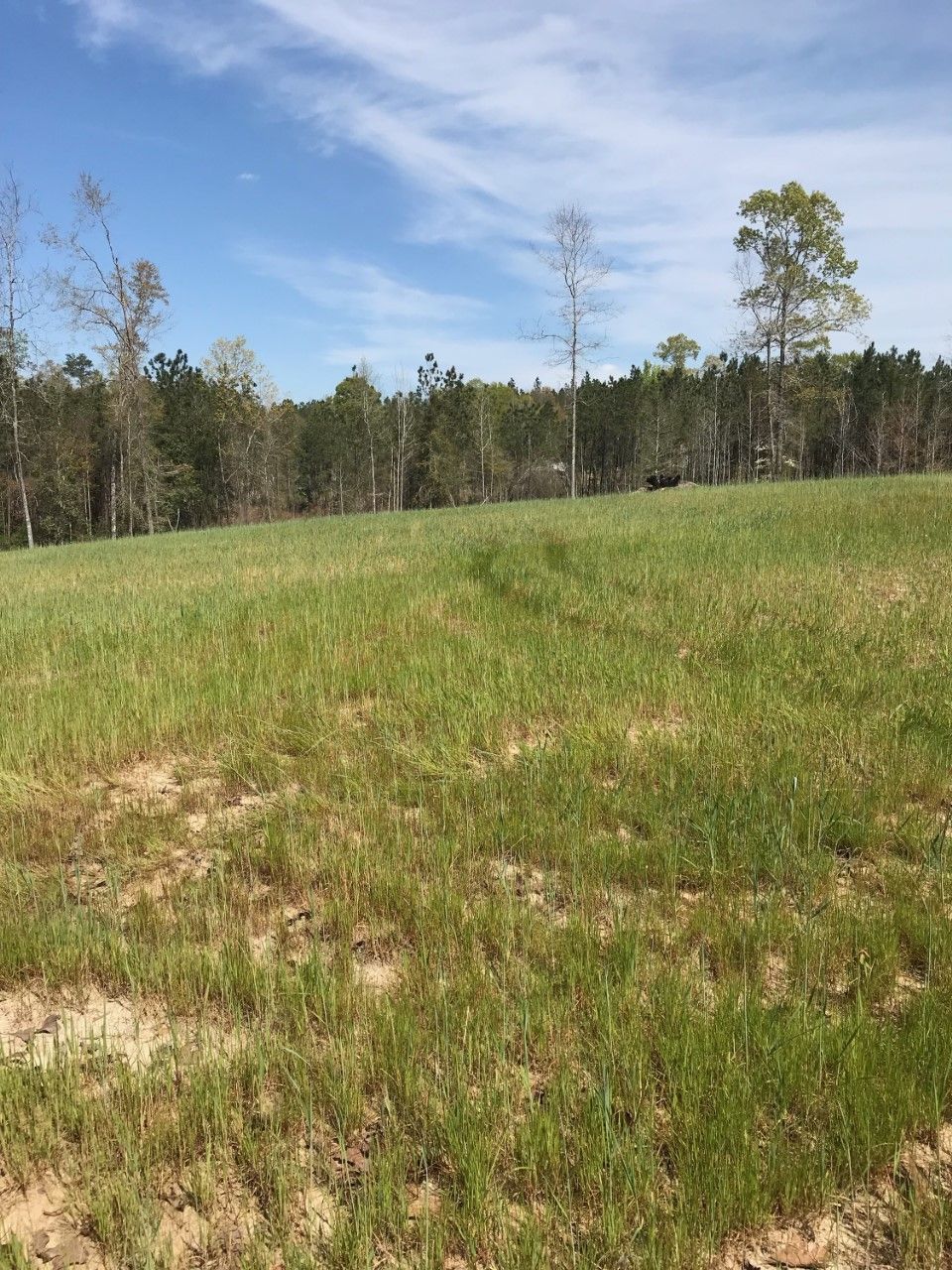 Lots & Land Properties for Sale