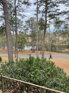 View from Front Porch