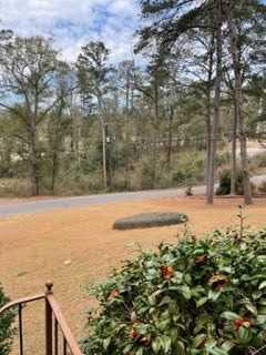 View from Front Porch