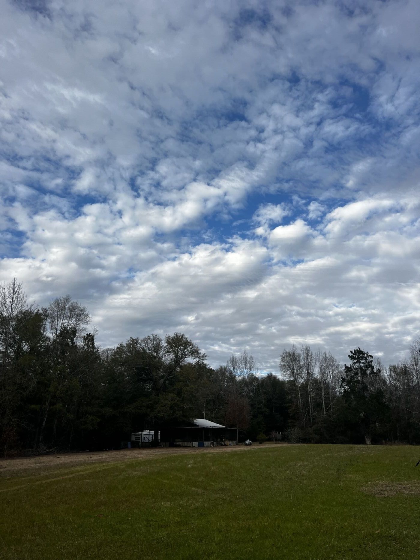 Gainestown Home, AL Real Estate Listing