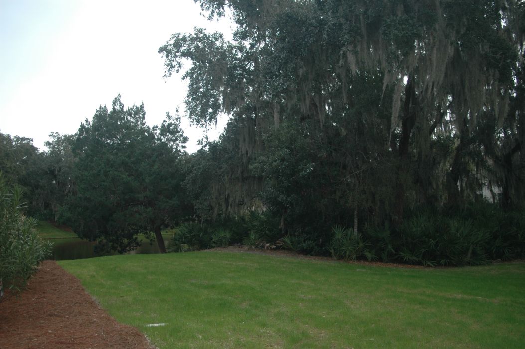 St. Simons Island Home, GA Real Estate Listing