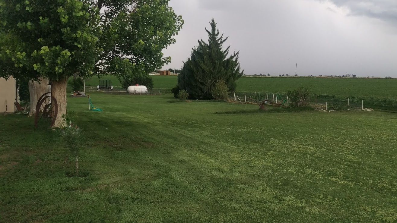 Beautiful Yard Beautiful Yard