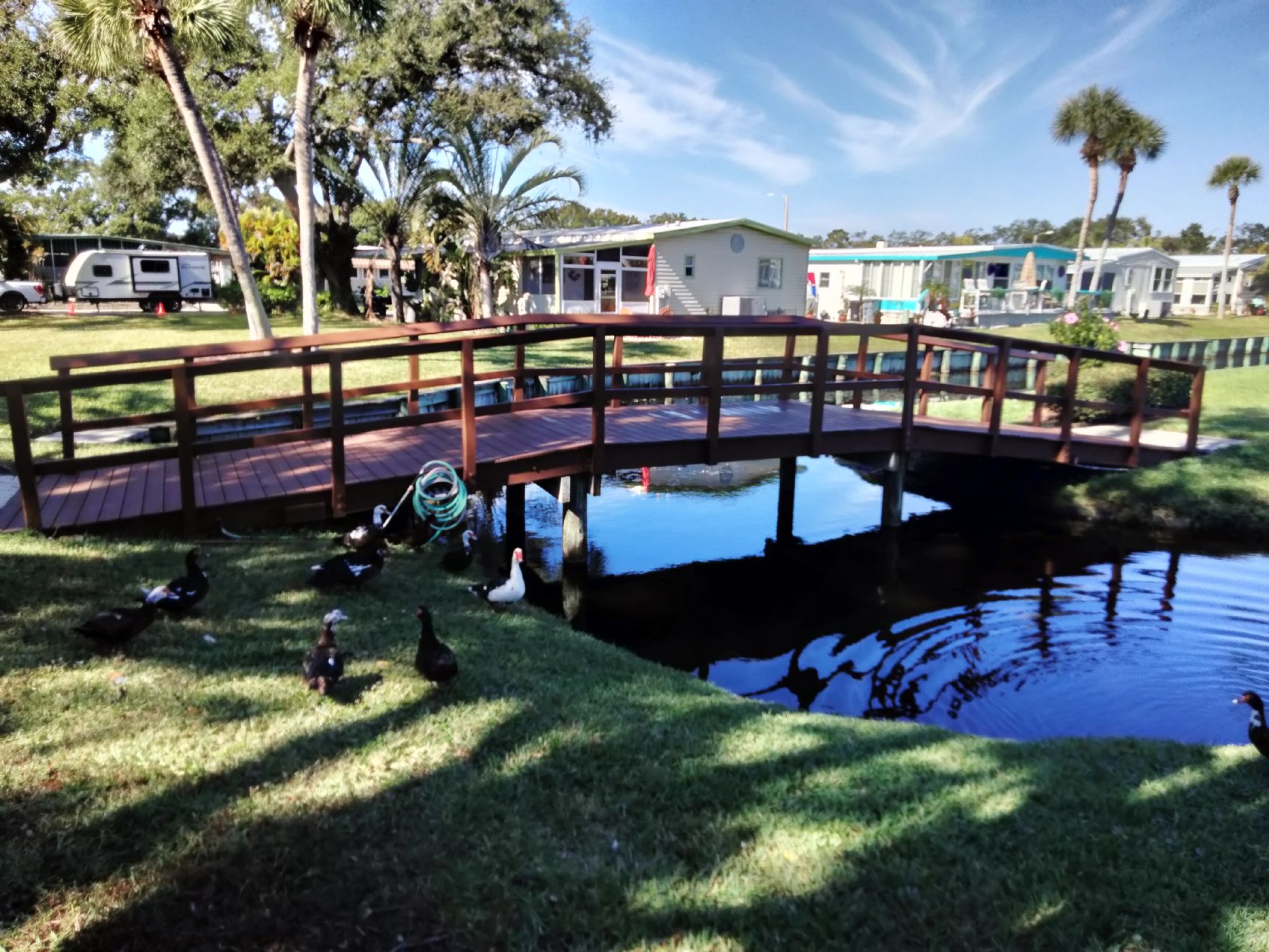 Community Pond Community Pond