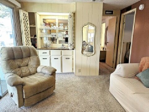 den view from kitchen