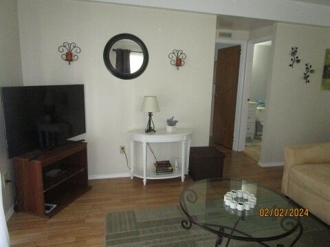 living room TV, stand