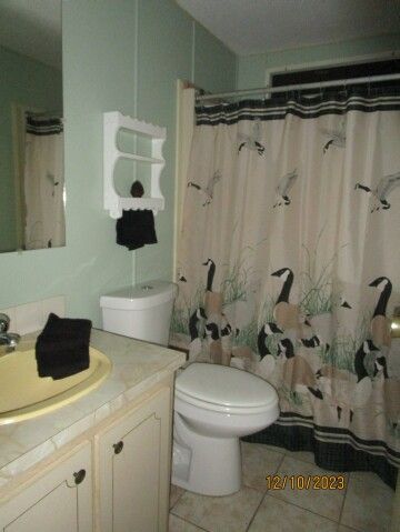 hall bath w newer toilet