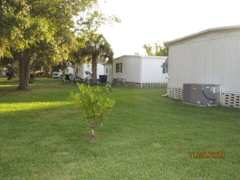 large back yard, citrus tree