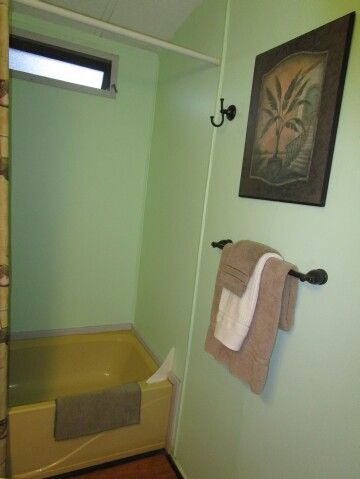 hall tub/shower combo