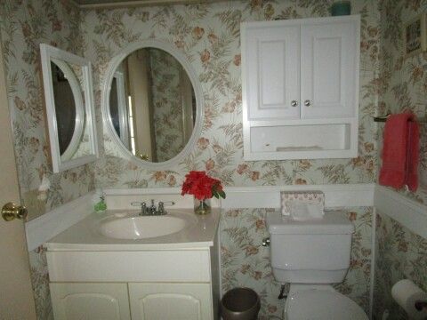 guest bath view from tub/shower