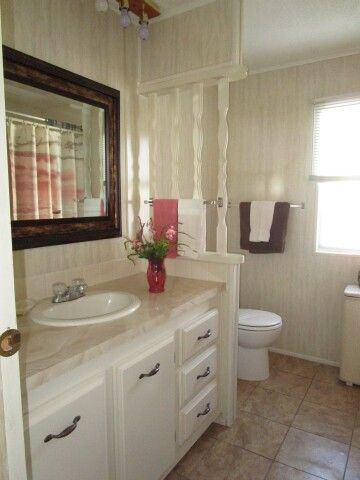 hall bath vanity, toilet