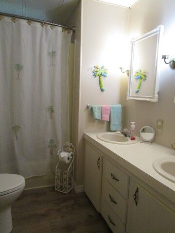 hall bath double vanity