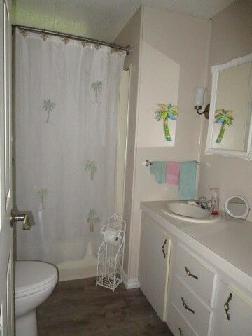 hall bath tub/shower combo