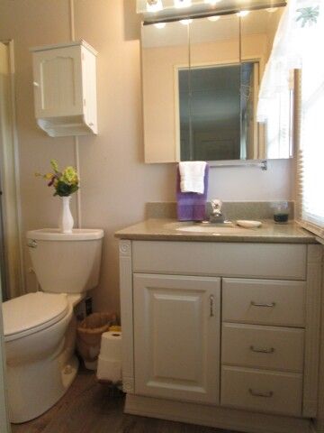 master ensuite vanity, toilet