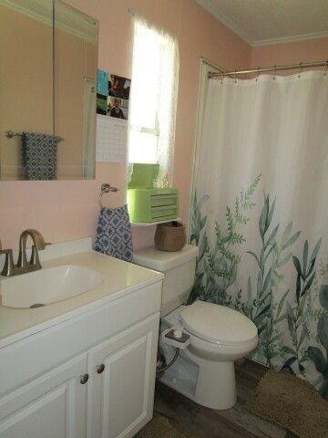 ensuite vanity, toilet, WI shower