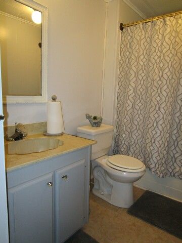 hall bath vanity, toilet, shower
