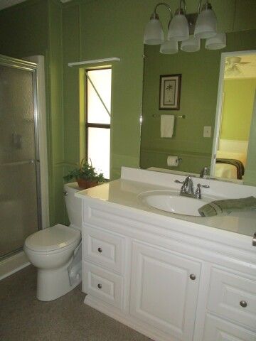 master ensuite vanity, toilet, WI shower